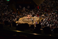 Sumo